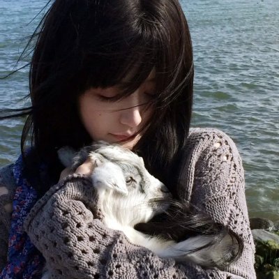 堪萨斯小猫